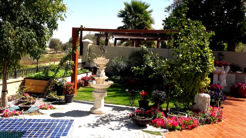 Soft landscaping Dubai — villa garden planting by Apex Landscape Works