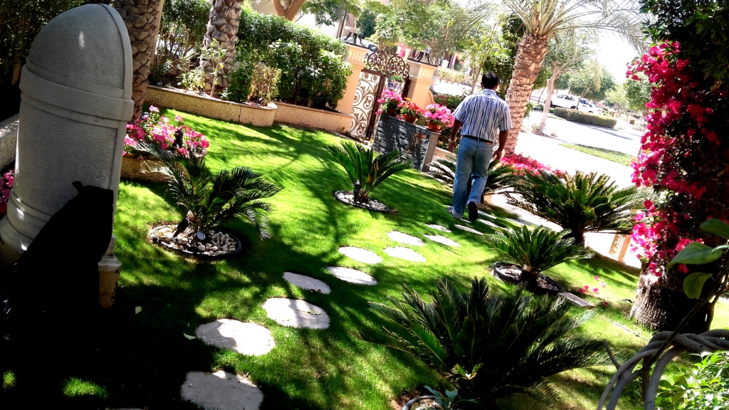 Garden Maintenance Services Apex, Garden Maintenance Services Dubai